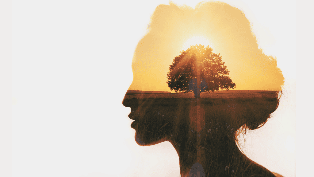 Double exposure of a woman's silhouette with a tree inside her head against a sunset sky.