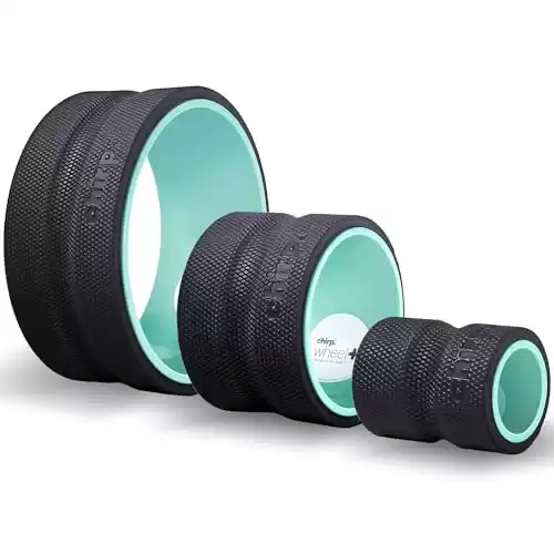 Chirp Wheel Foam Roller