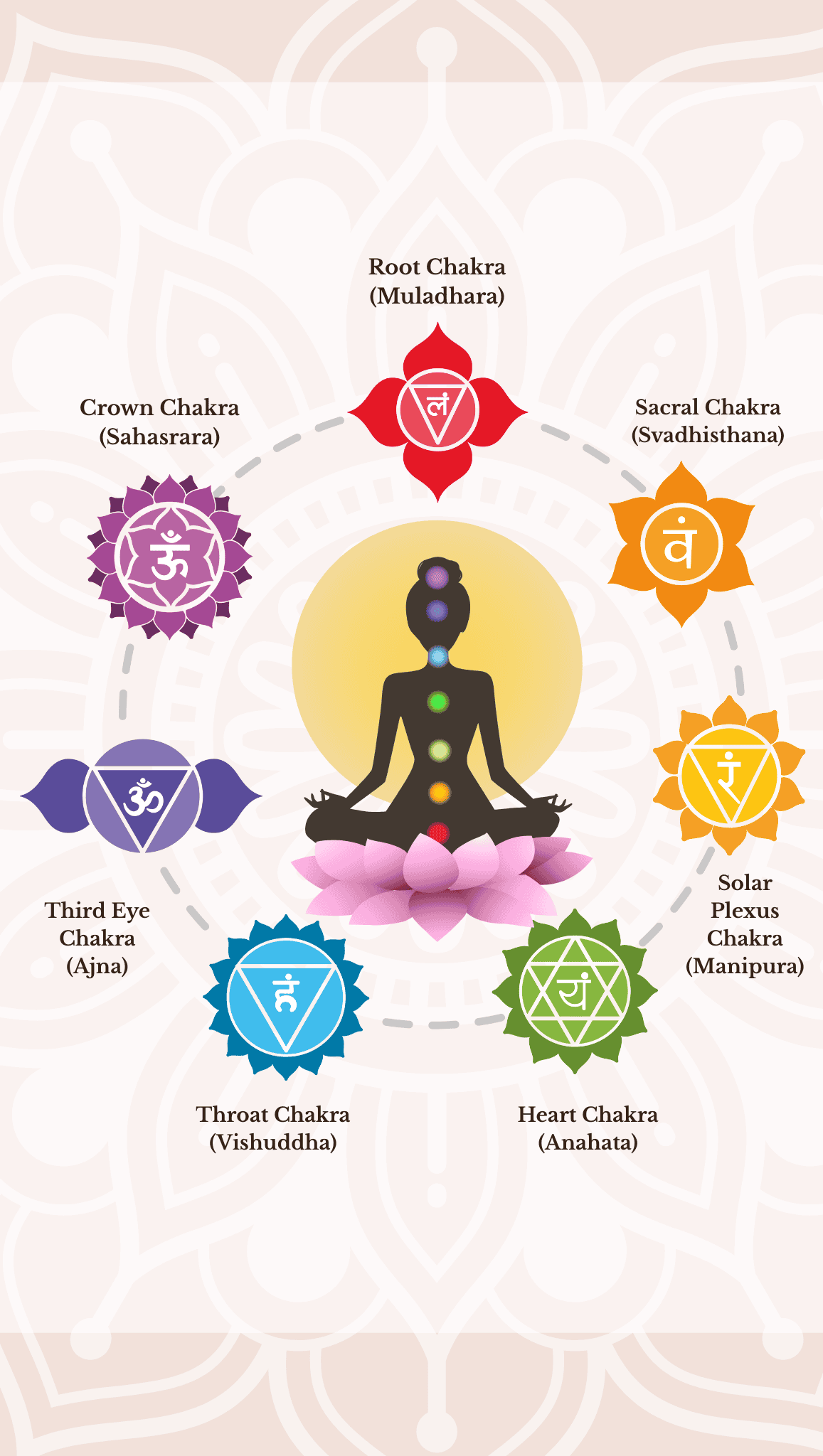 A diagram of a person meditating with seven colored chakras along the body, each chakra labeled: Root, Sacral, Solar Plexus, Heart, Throat, Third Eye, and Crown, with symbols and names surrounding the chakras.