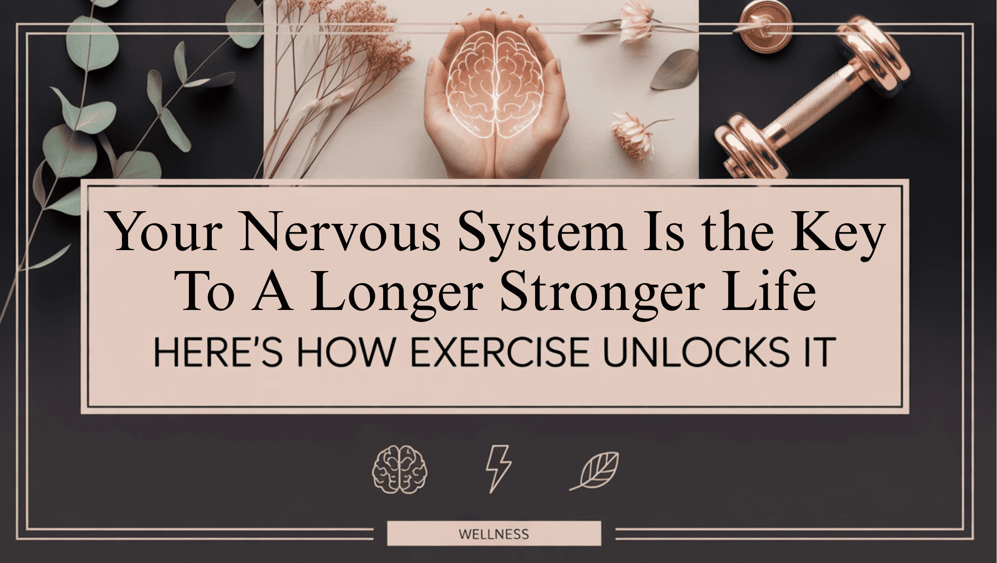 A wellness-themed graphic with the text: “Your Nervous System Is the Key To A Longer, Stronger Life. Here’s how exercise unlocks it.” It features hands holding a brain illustration, a dumbbell, plants, and nervous system wellness icons.