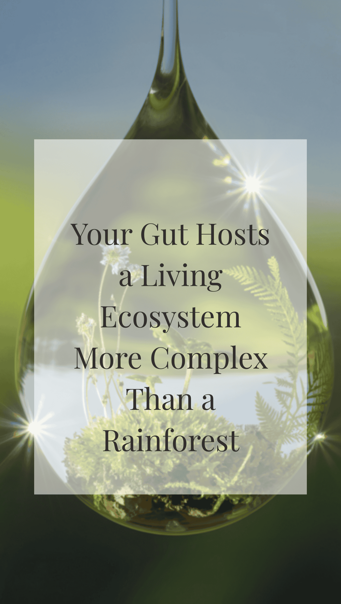 A large water droplet containing ferns and moss, with the text: Your Gut Hosts a Living Ecosystem More Complex Than a Rainforest, highlighting the importance of Healthy Gut Habits, overlaid in the center.